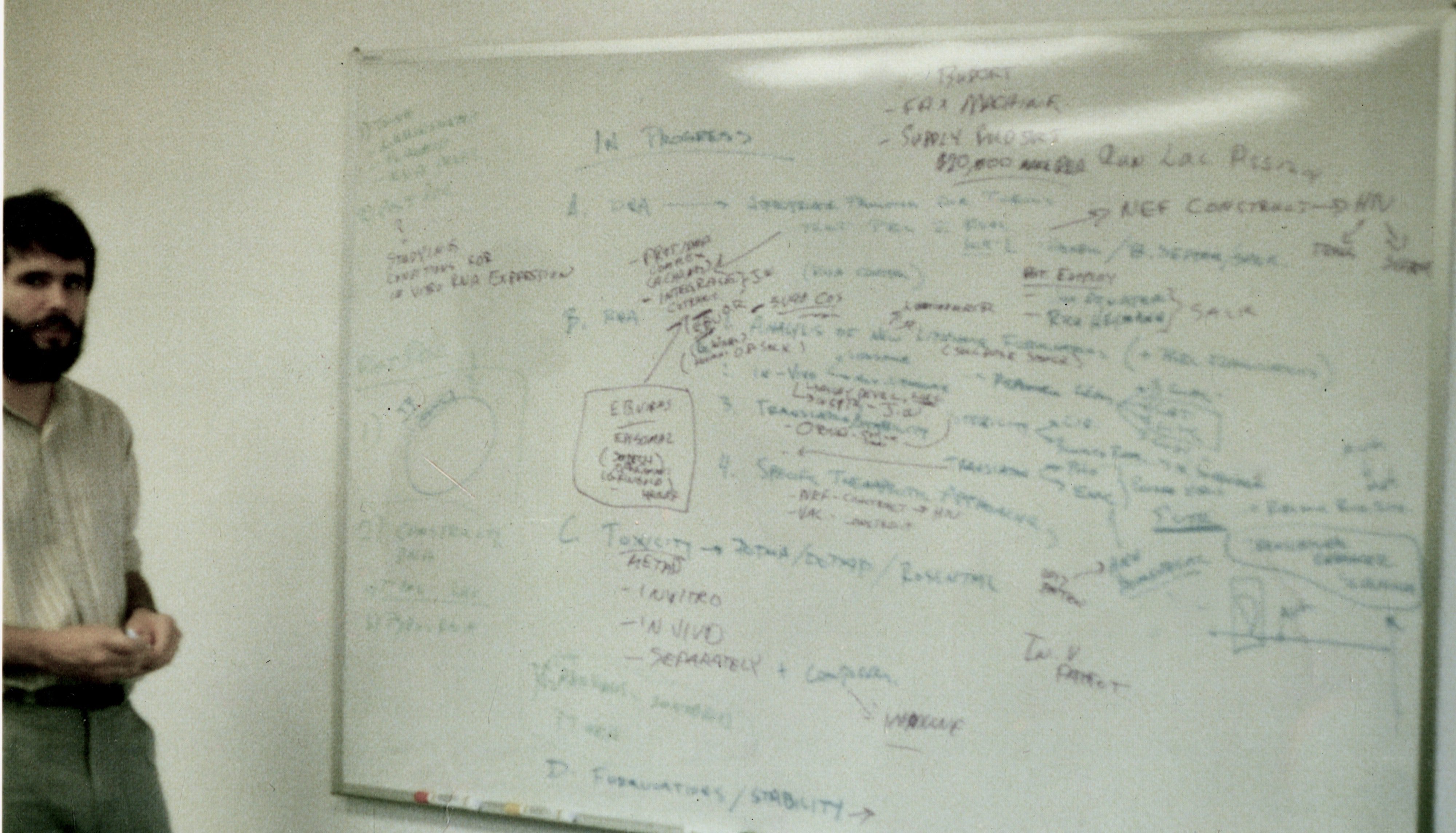Robert Malone MD in 1989 - whiteboard of research to be conducted